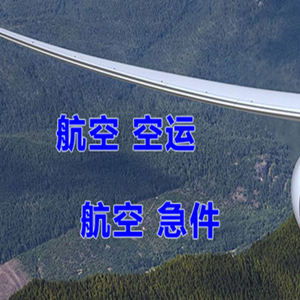 巴中恩阳航空快递快递-选东方航空和上海航空
