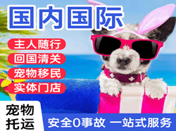 巴中恩阳航空快递国际宠物托运 【国